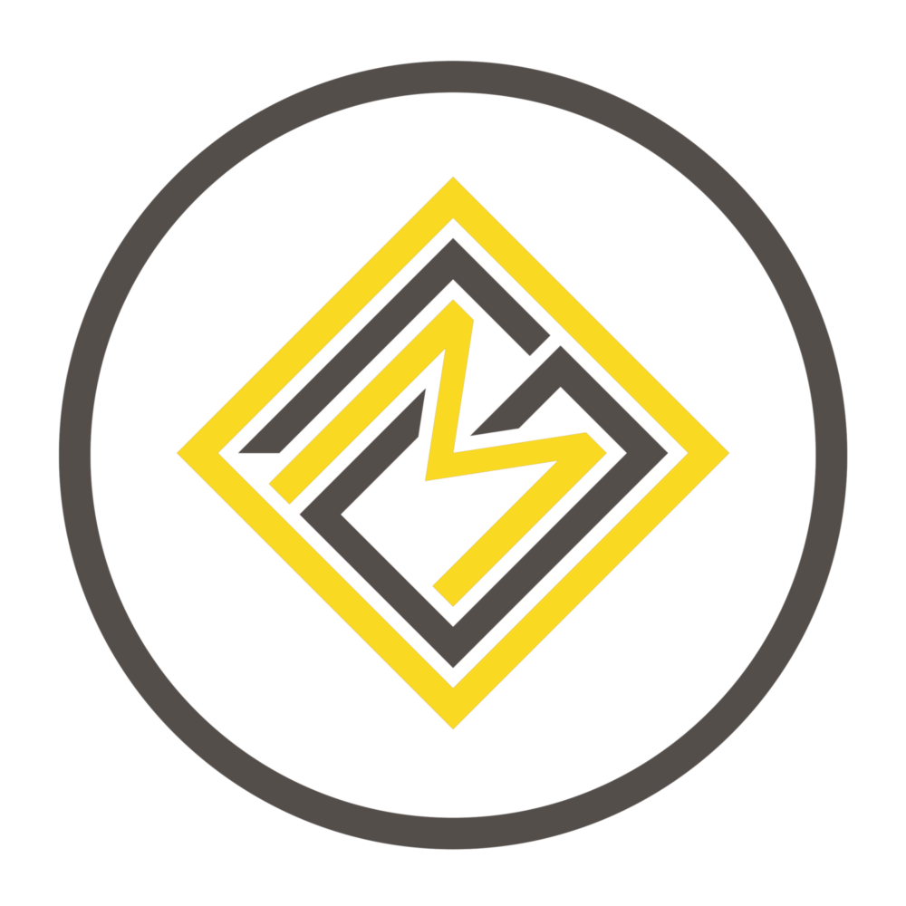 امیر محمد قاسمی