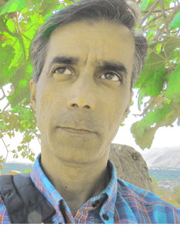 داریوش امینی