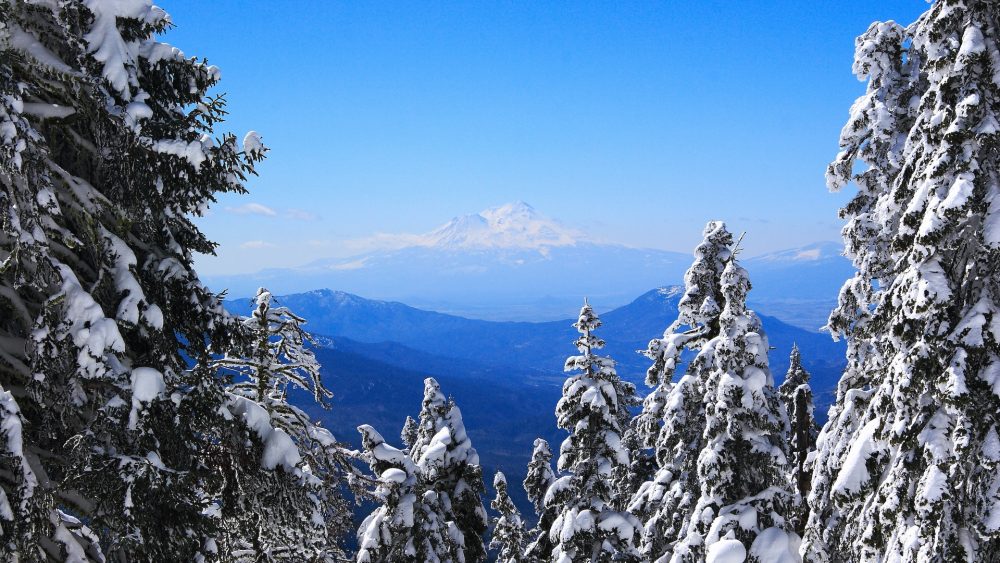 ارسلان شعاعی