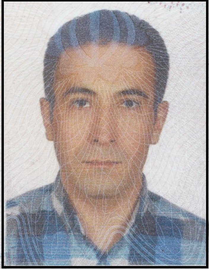 محمد مهدی علیزاده