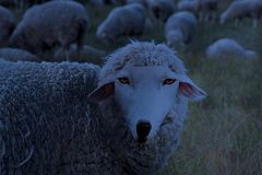 20-فتوشاپ طراحی فتومونتاژ