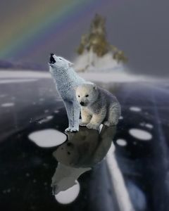 23-فتوشاپ طراحی فتومونتاژ