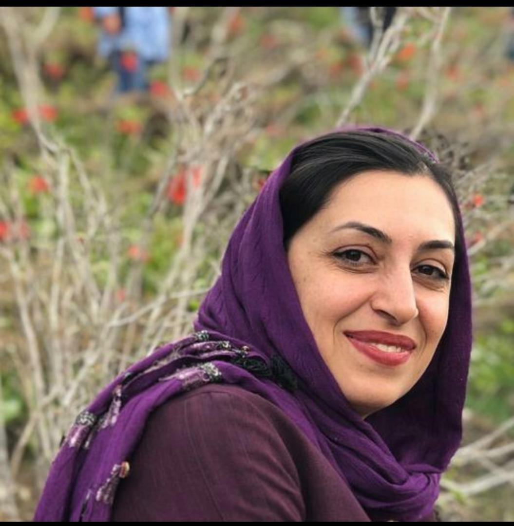 مائده حوایی