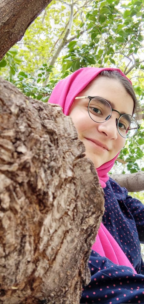 mohammad amin heydarian