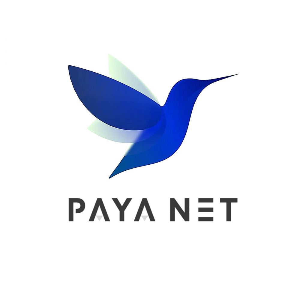 payanet