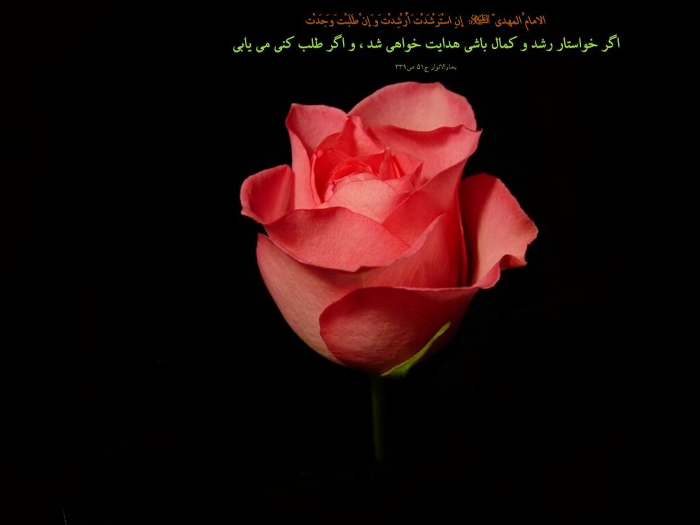 پاورپوینت...فتوشاپ...ادیت