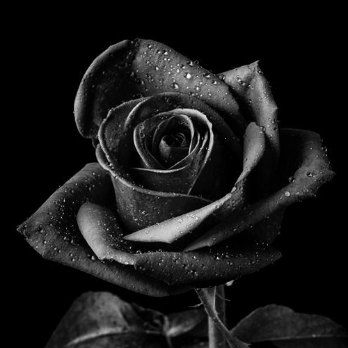 محمد متین پایان