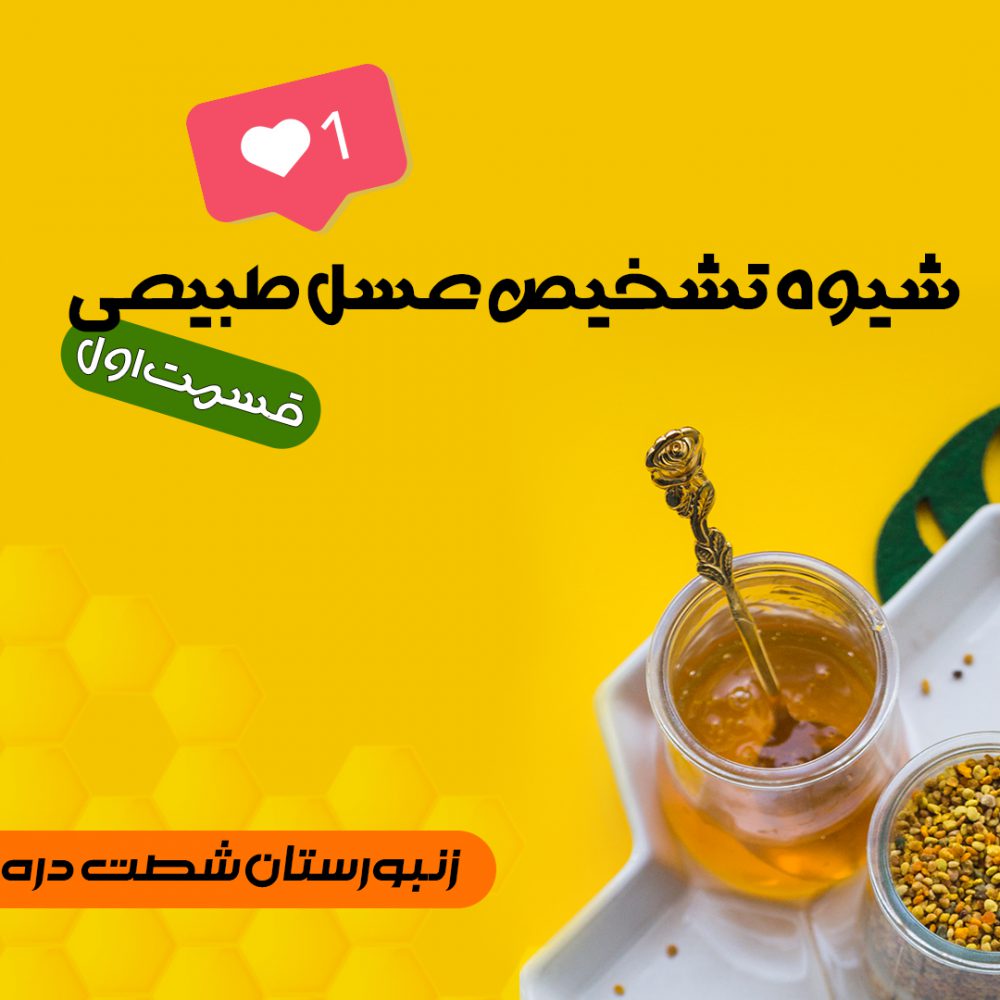 4-پست اینستاگرام (عسل)