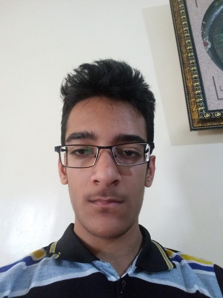 Mohammed Taha Zangeneh