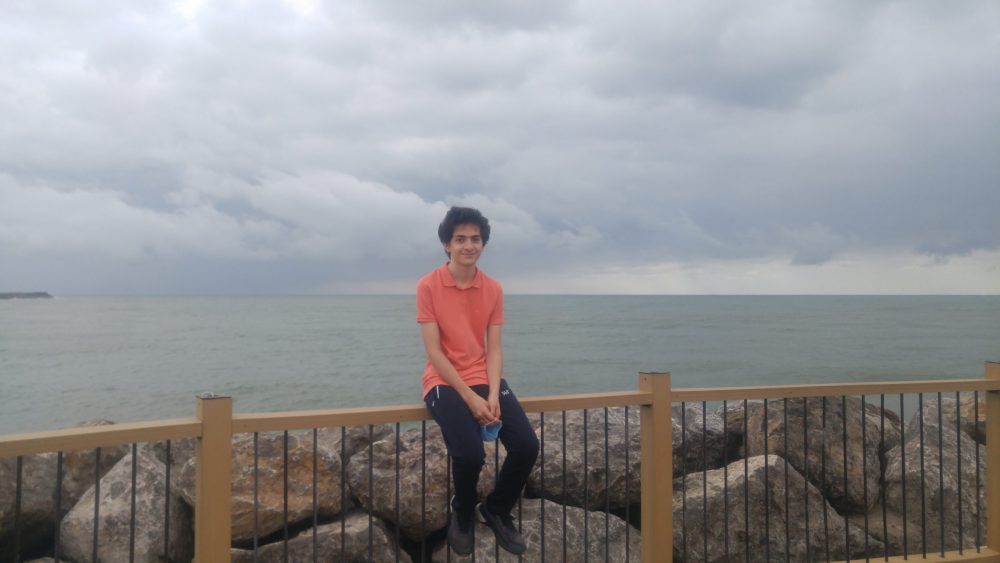 amir mohamad arghavany