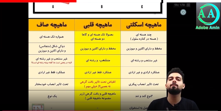 نمونه کار تدریس