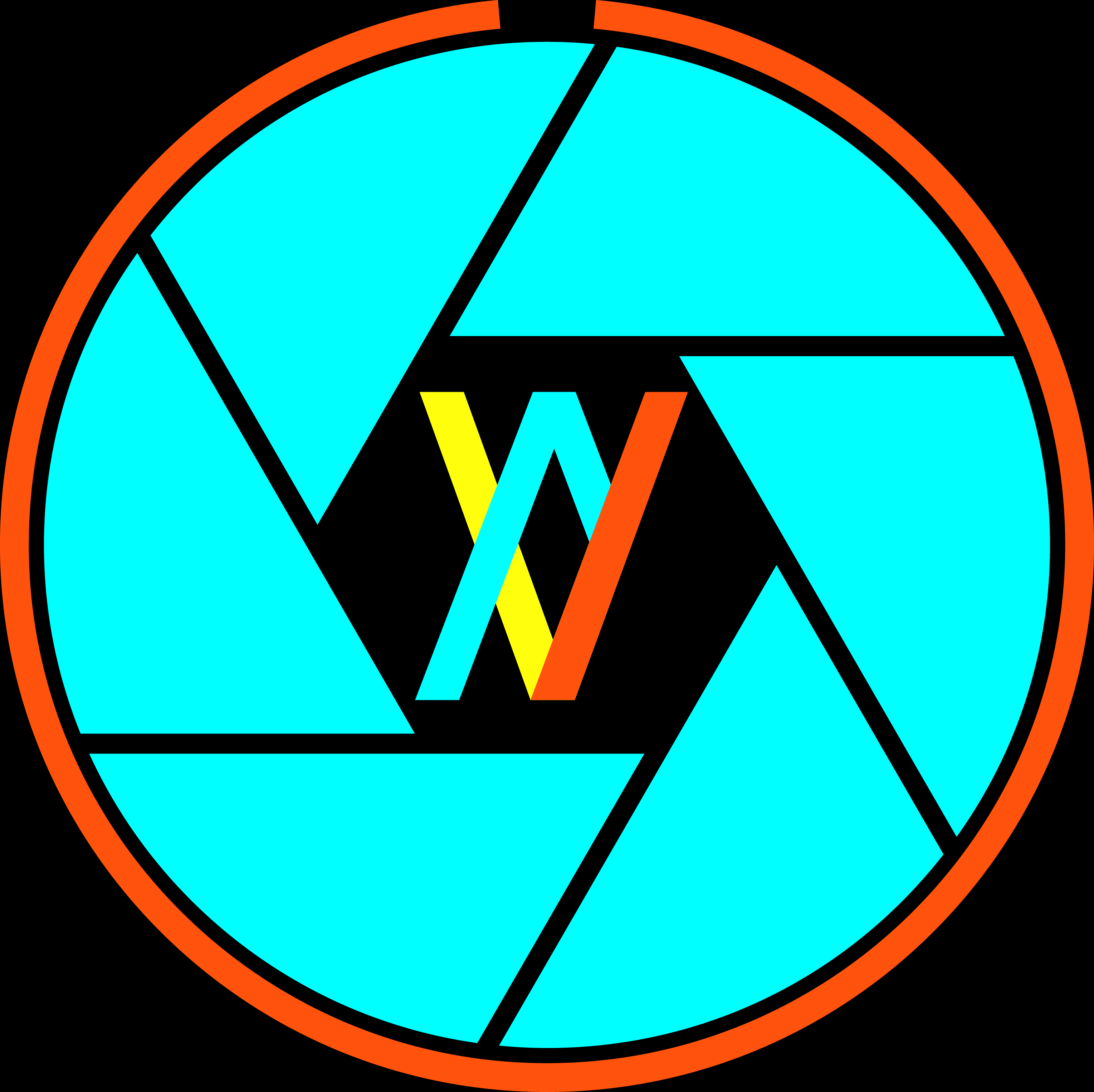 mohammad mahdi miran