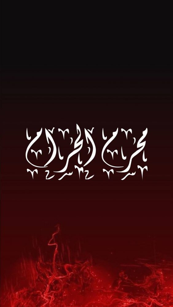 Mohammad mahdi Alizadeh moghadam