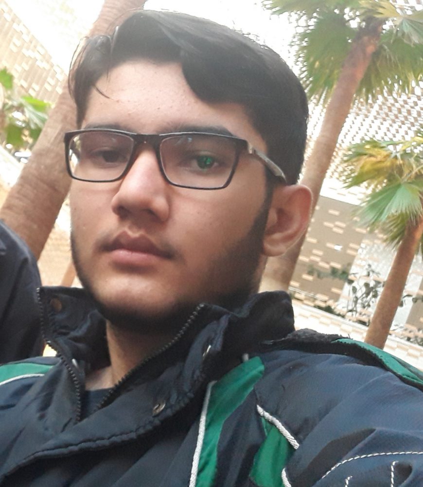 محمد مهدی زارع فیروزی