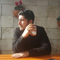 سیاوش حسن نیا