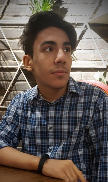 امیرعلی شاملو