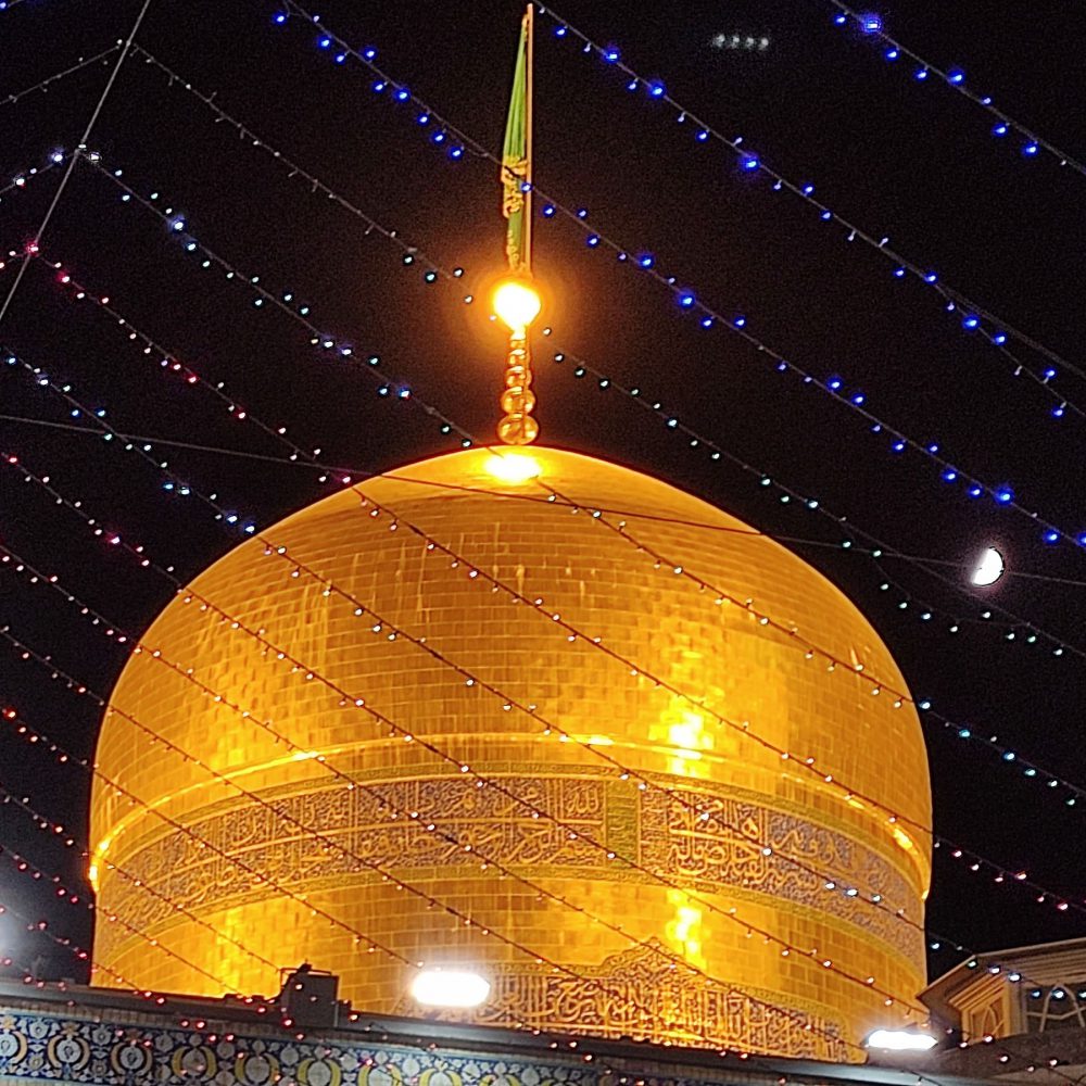 مهدی رشیدی زاده کتج