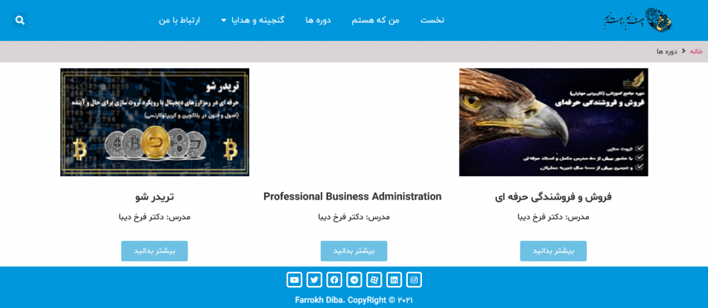 10-طراحی سایت شخصی فرخ دیبا