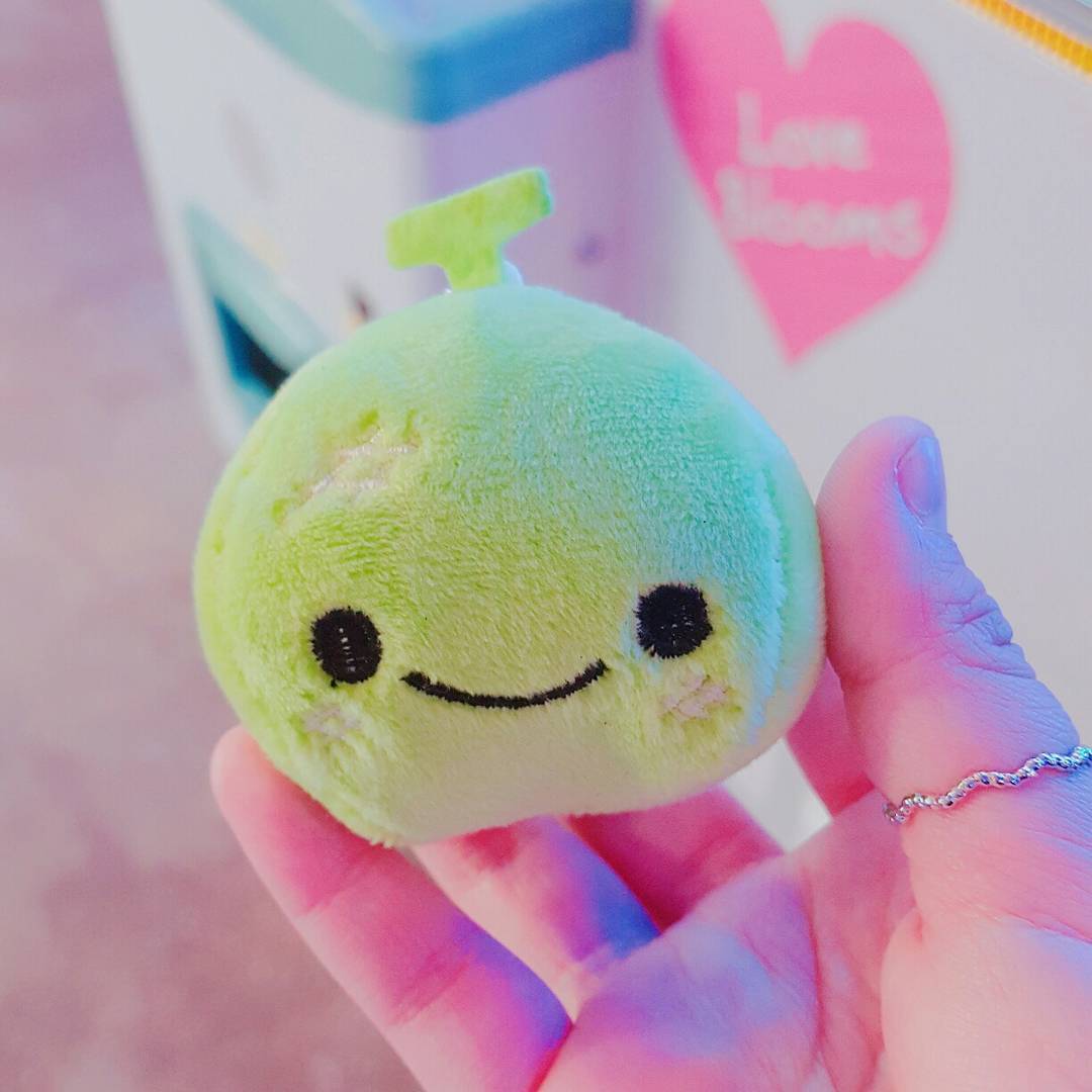 فرنوش حیدری