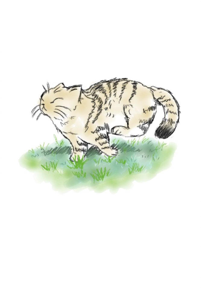 ساراسادات ابوالقاسمی