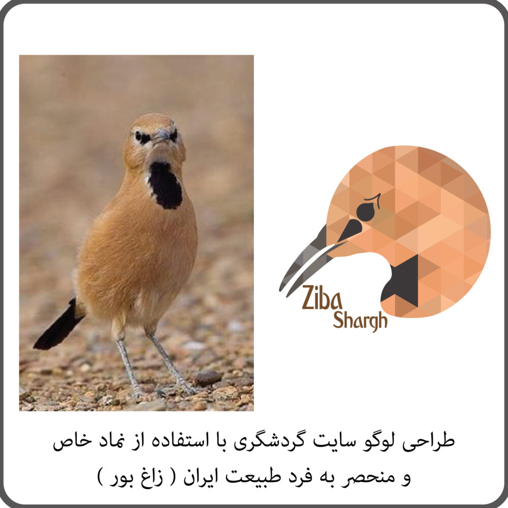 1-تبدیل عکس با تغییرات مد نظر شما به لوگو ( وکتور )