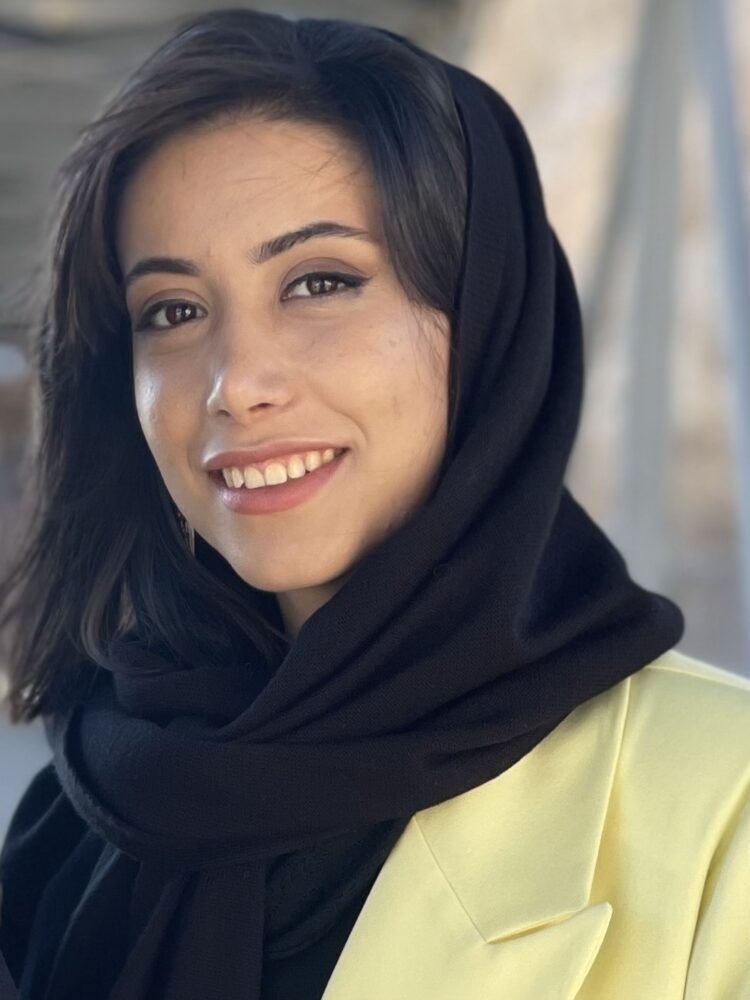 نگین فردوسی