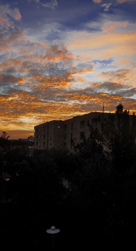 محتوا متنی یونیک سئو شده و دیتا اینتری