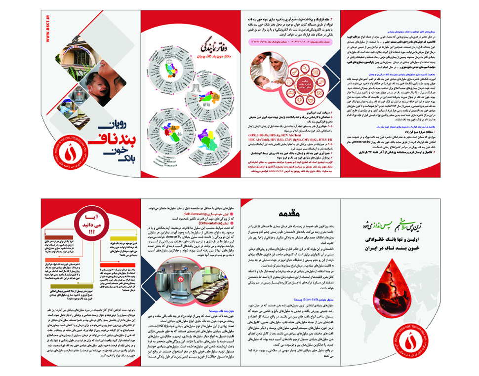 طراحی بروشور چند لته