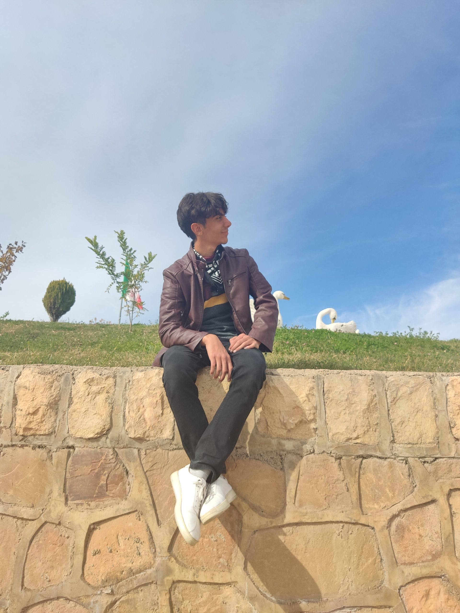 احمدرضا شیخ ممو