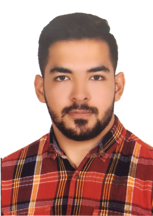 امیرحسین اولی