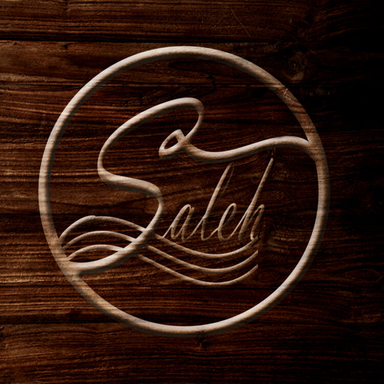 محمدصالح محسن زاده