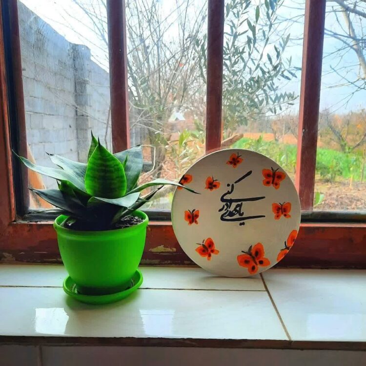 نازنین خراسانیان