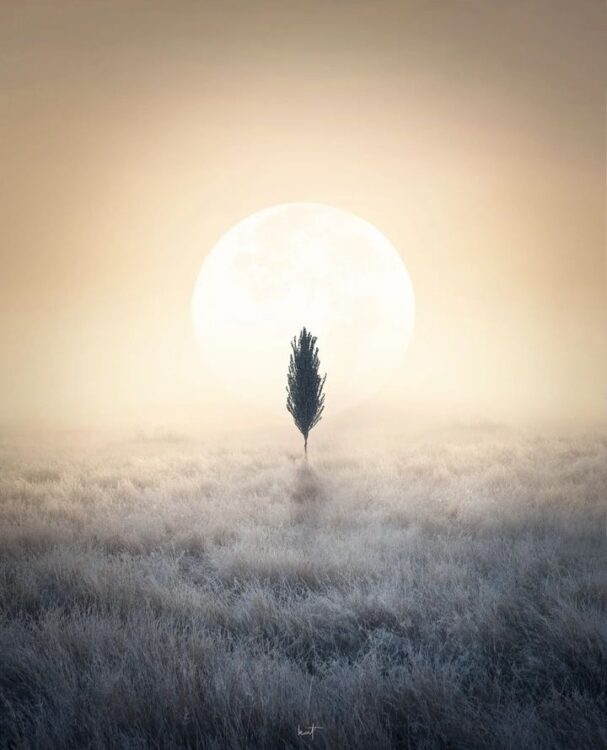 امیرمهدی موسوی