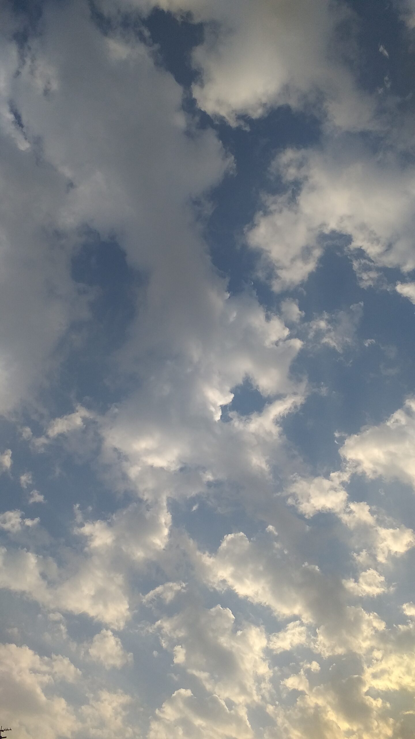 مریم اصلانی