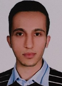 محمد حسین محبی