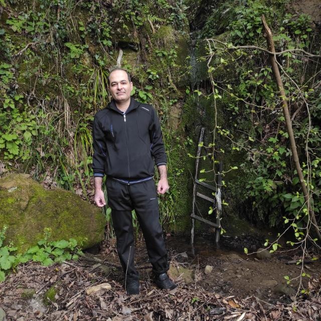 محمدرضا شهسوار