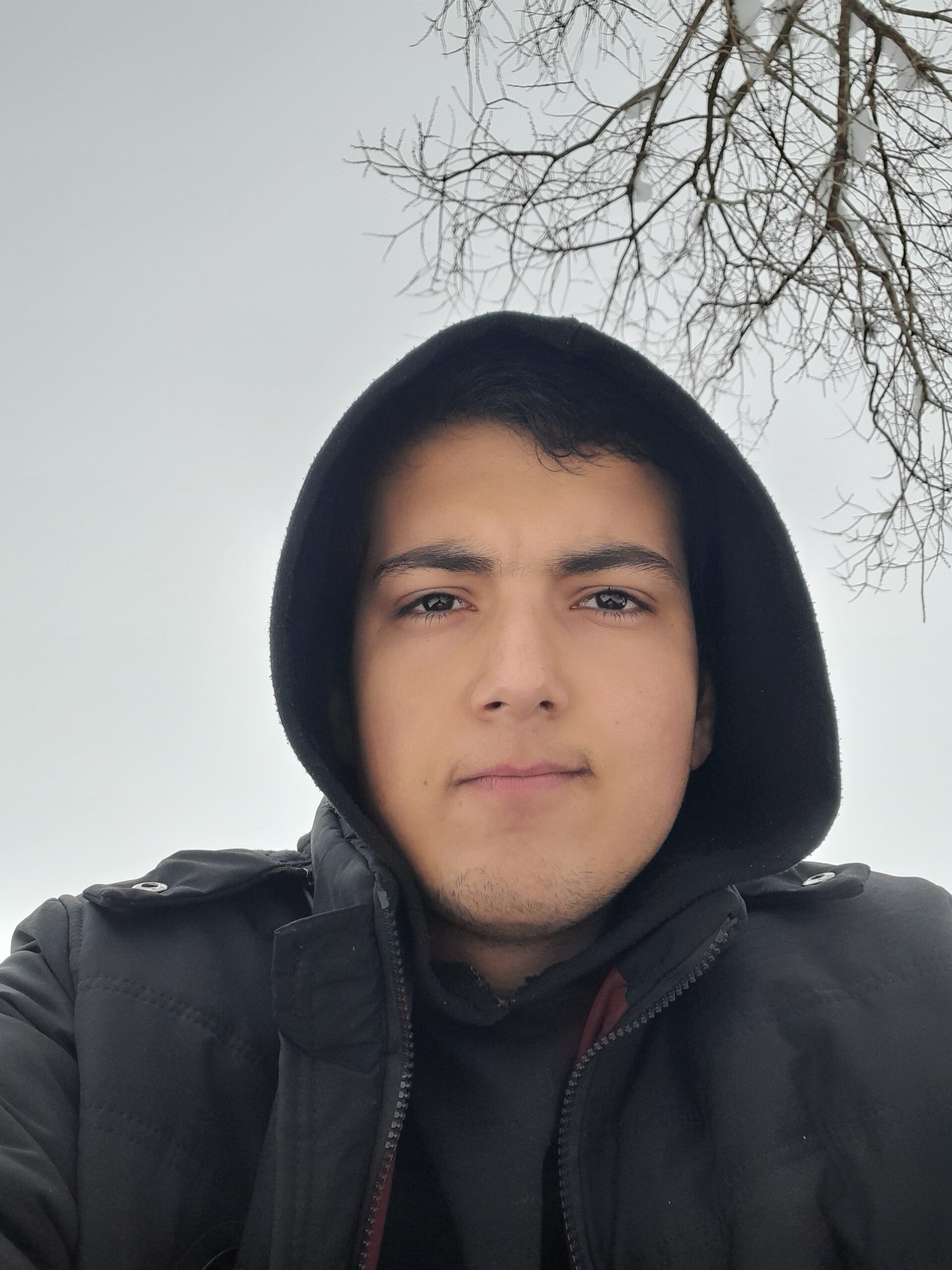 google117690813504226850415