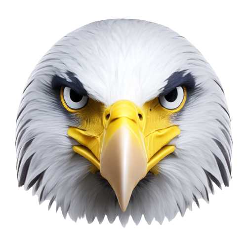 سبحان بهرامی