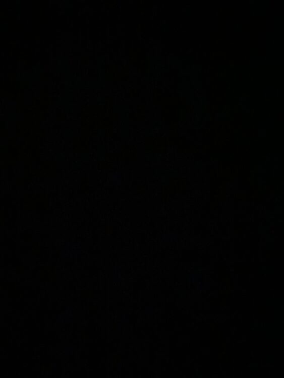 سید محمد بهدانی