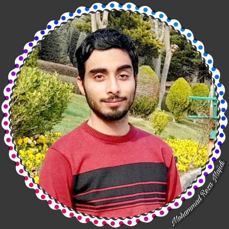 محمدرضا مجیدی