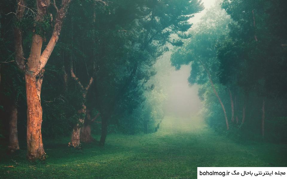 ایمان مصیبی