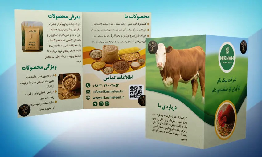 6-طراحی کارت ویزت، بروشور و پوستر