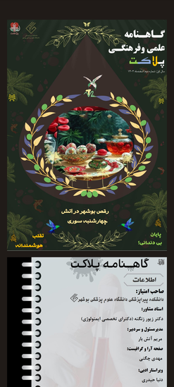 طراحی مجله پلاکت نسخه دوم