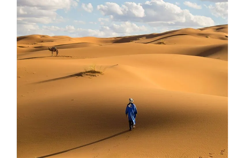 محتوای سایت کجارو درباره کویر