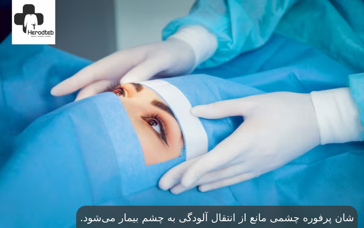 تولید محتوا