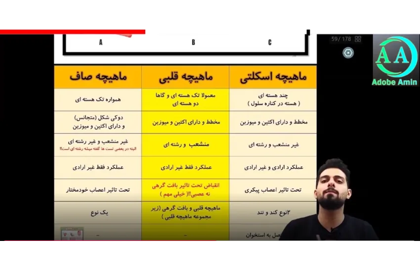 نمونه کار تدریس