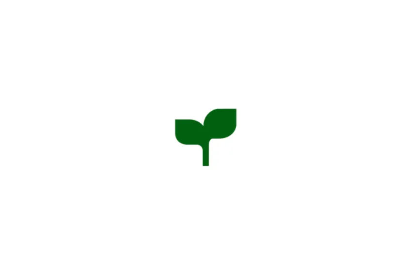 طراحی سایت سبزیشه