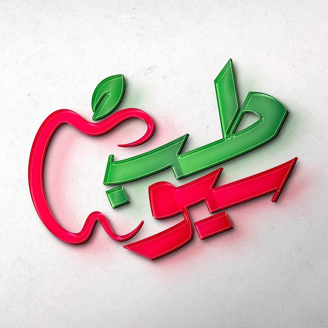 طراحی لوگو سایت سیوطب