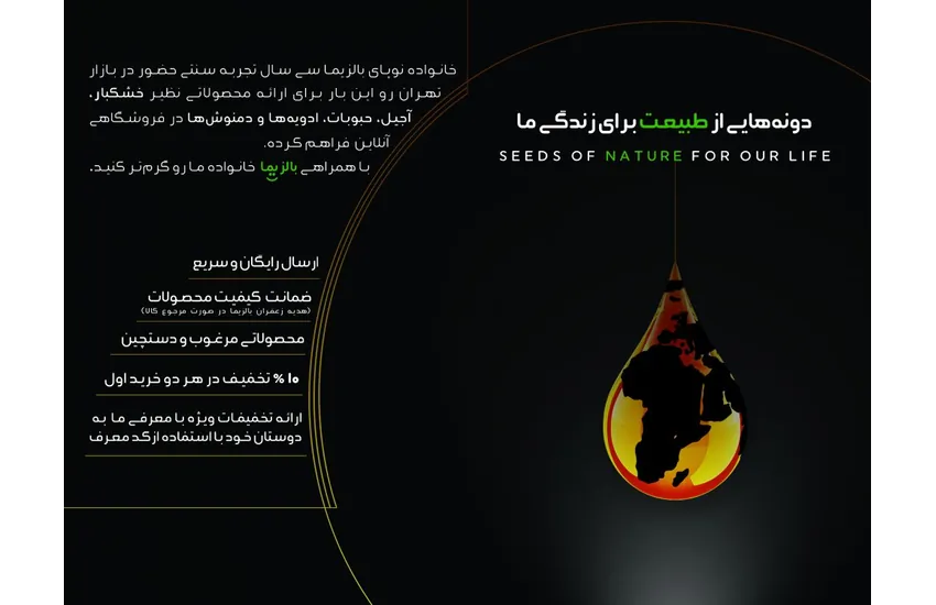 balzima brochure