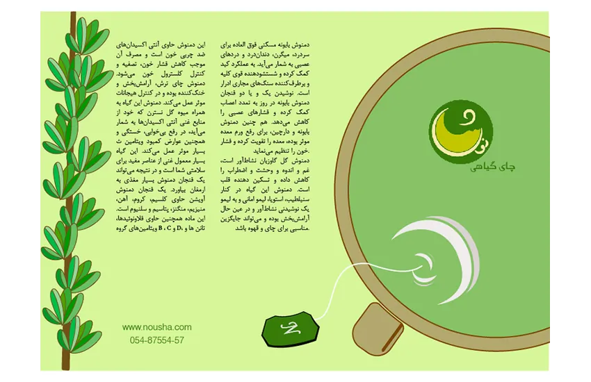 3-طراحی لوگوتایپ و بروشور